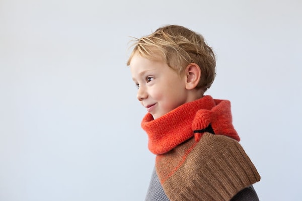 21. Красный кардинал