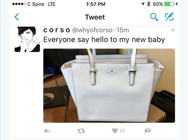 Все началось с того, что какая-то девушка опубликовала в интернете снимок своей новой сумки. Она решила разделить радость покупки с другими интернет-пользователями.