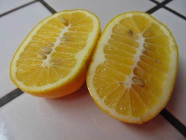 3. Korkunç limon.