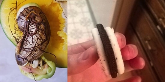 Şaşırtmakla Kalmayıp İştahınızı Kaçırması An Meselesi Olan 19 Tövbe Estağfurullah Yiyecek