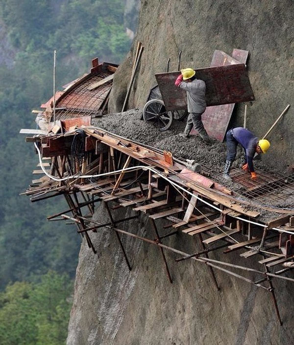 12. Обыкновенная дорожная служба.