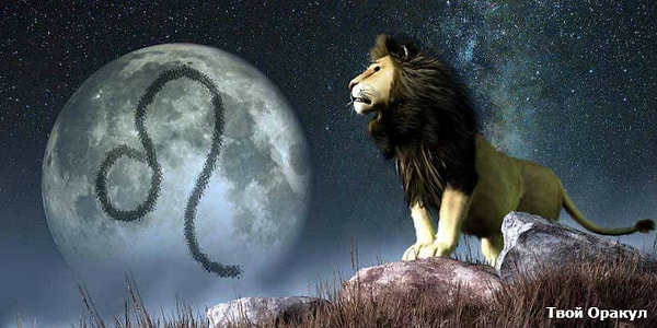 5. Лев – скорее всего, изменит тебе