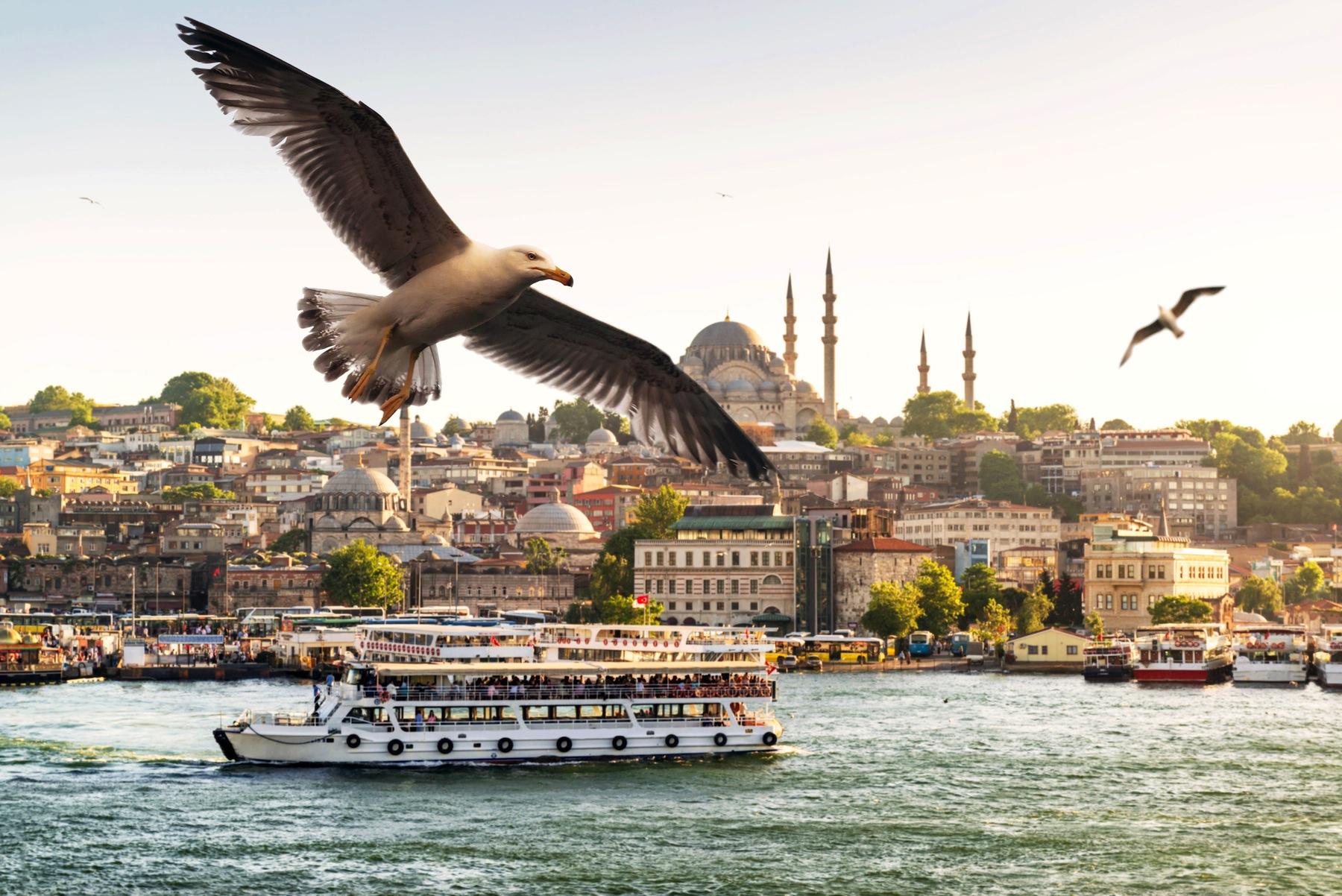 Стамбульский паром бесплатно