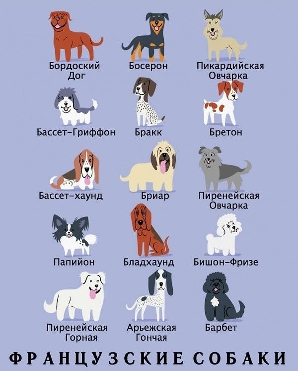 8. Французские