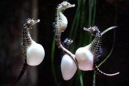 20 потрясающих фактов, которые вы еще долго не сможете забыть