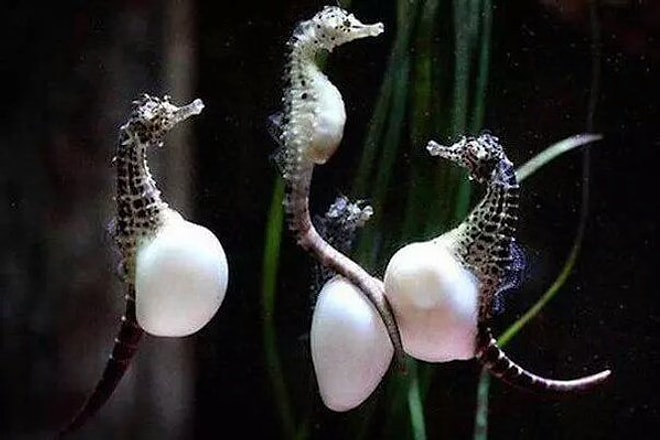 20 потрясающих фактов, которые вы еще долго не сможете забыть