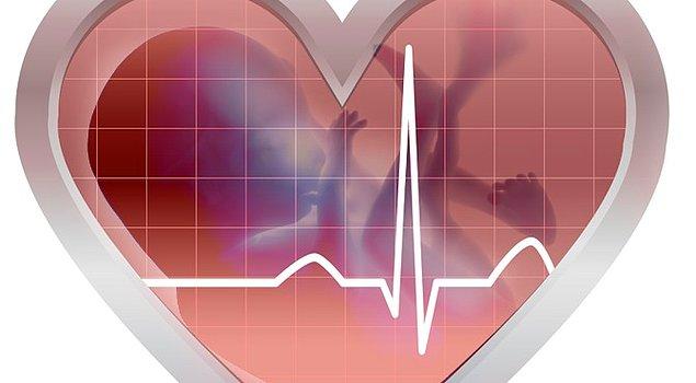 Bu bulgular, kalp gelişimi sırasındaki kilit rol oynayan molekülleri daha yakından tanımamızı sağlayarak, kalple ilgili çalışmaları arttıracaktır.