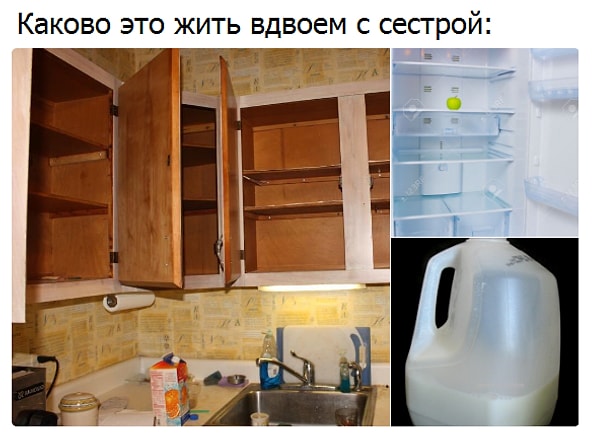 12. Если вы снимаете квартиру с сестрой или братом