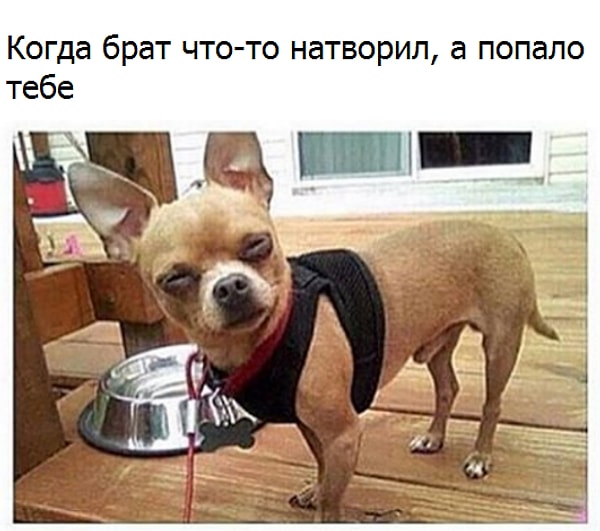 13. Этот взгляд