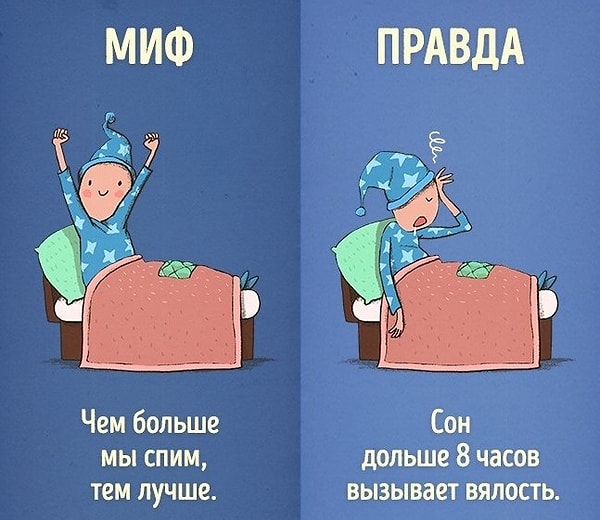8. Но и спать слишком долго тоже не очень хорошо