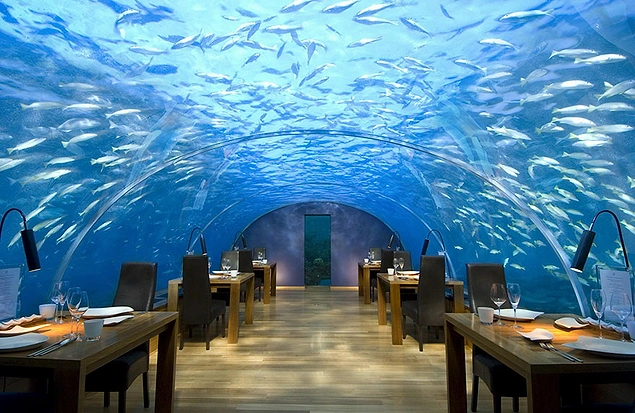 İthaa Denizaltı Restoranı - Alif Dhaal Atoll, Maldivler