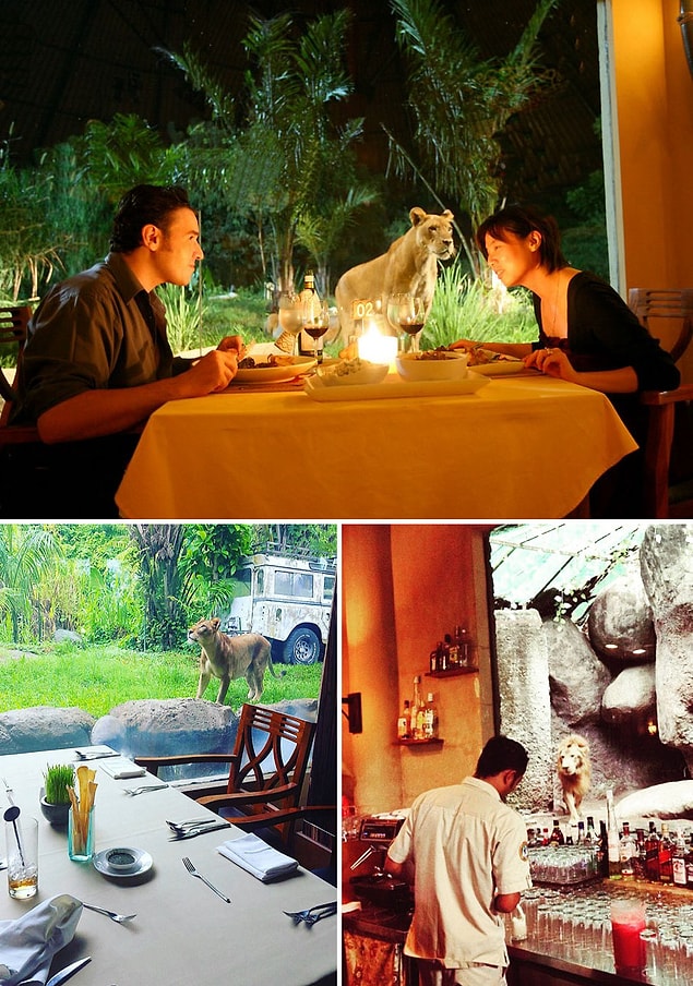24. Tsavo Lion Restoran, Bali