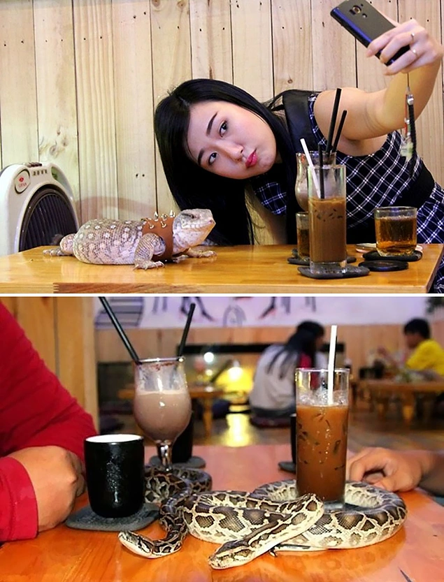 Phu Nhuan's Cafe Babo - Saigon, Vietnam