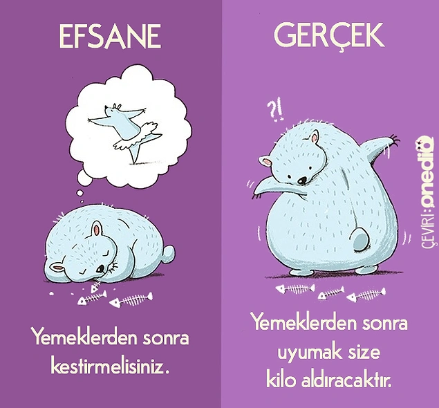 Şimdi bir uyuruuuum var ya... 💤