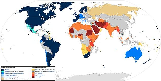 9. Peki aynı cinsiyetler arasında cinsel ilişkiye ülkelerin bakışı nasıl?