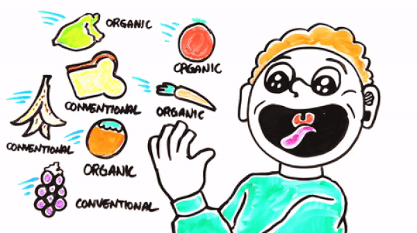 Yapılan birçok araştırmaya göre organik olarak üretilen besinlerin, diğer besinlere göre besleyiciliği daha fazla değil.