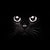 bbcat