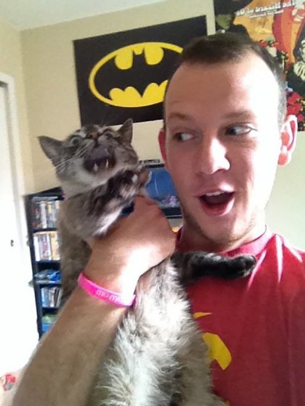 11. Радости со своим хозяином этот котик явно не разделяет.