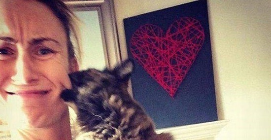 Зачем вы меня мучаете? 15 убойных фото о котах, которые категорически не хотят фотографироваться!