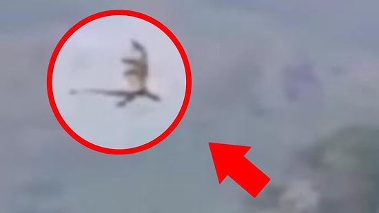 Жители Китая увидели самого настоящего... дракона!