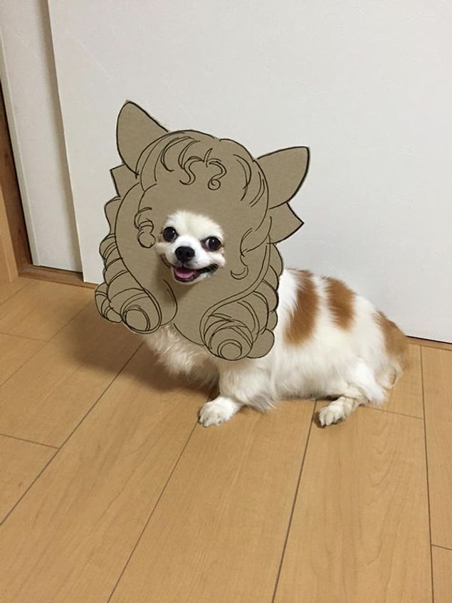 6.