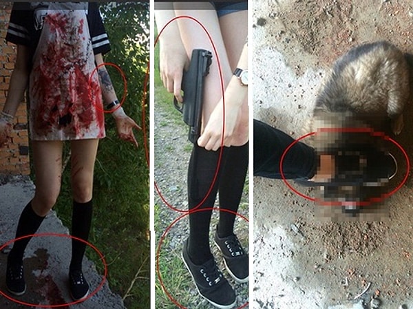 5. Было выяснено, что от руки подростков погибло не меньше 15 животных и птиц.