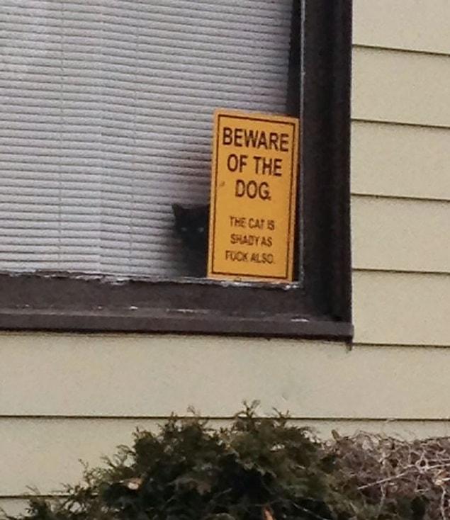1. Beware of the dog!!! Or, the cat.