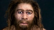 Bilim Açıklıyor: İnsanoğlunun Evrimi Hakkında Yakın Zamanda Elde Edilen Şaşırtıcı Bulgular