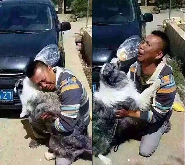 14. Встреча хозяина и его спасенной собаки, которая ранее была украдена. В Азии собак воруют, чтобы съесть...