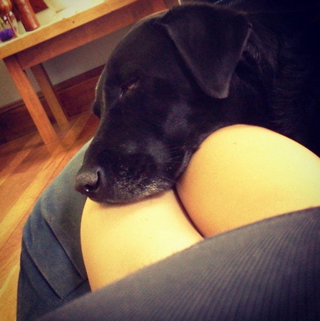 7. Evet, köpek çok minnoş. Ama onu biraz geç fark etmediniz mi?