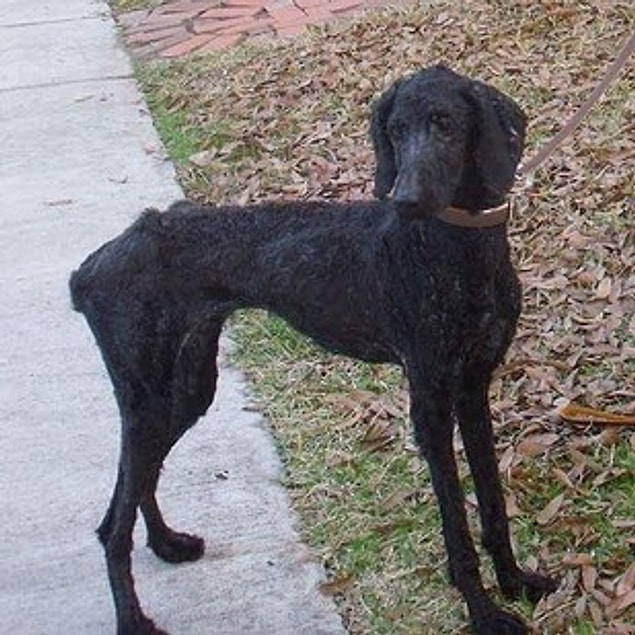 35. Tilly