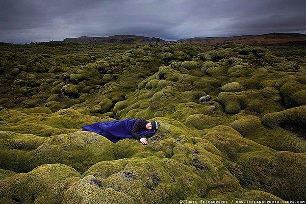 7. İzlanda yosunları