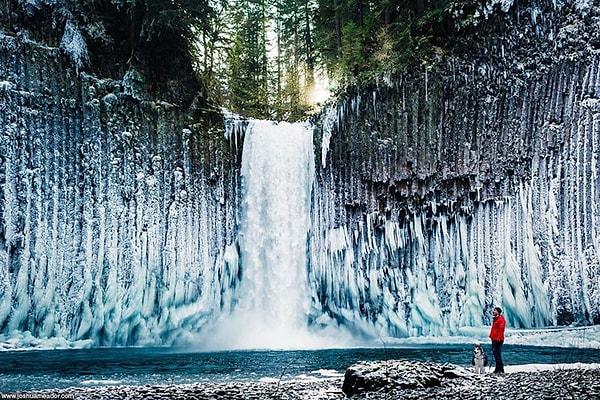 5. Abiqua Şelalesi, Oregon, ABD