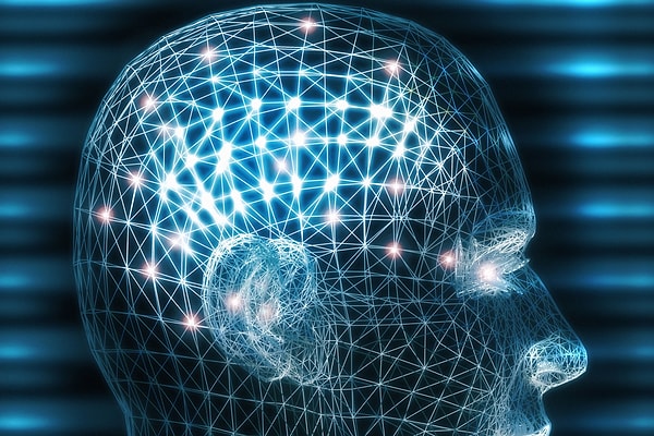 1. Наш мозг похож на сад