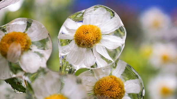 2. Это происходит, когда встречаются массы холодного и теплого воздуха