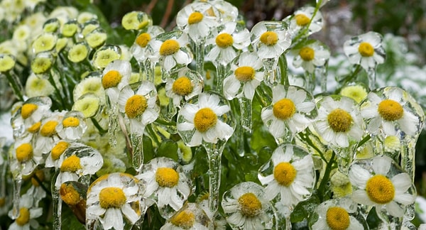 3. Верхний слой занимает теплый воздух, в котором снежинки тают, а, попадая в нижний холодный слой, они превращаются в полый ледяной шарик с водой