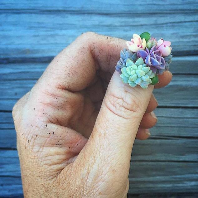 3. Let's introduce the succulent nails...
