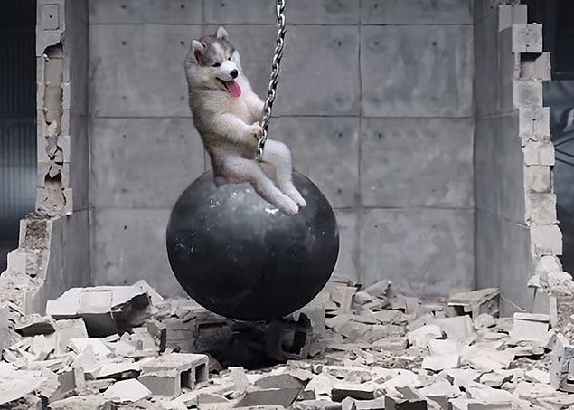 1. Miley mi güzel ben mi güzelim?