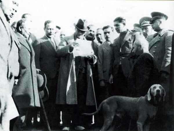 12. Aşağıdakilerden hangisi Atatürk'ün köpeğinini adıdır?