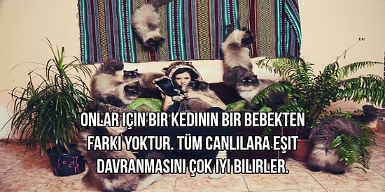 En Belirgin 13 Özelliğiyle Kedi Tutkunu İnsanlar