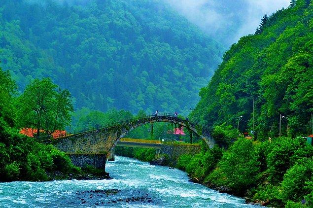 Rize!