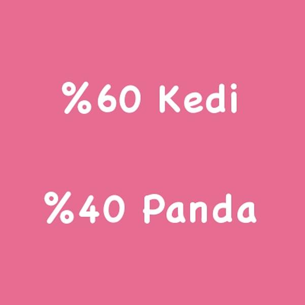 %60 Kedi %40 Panda!