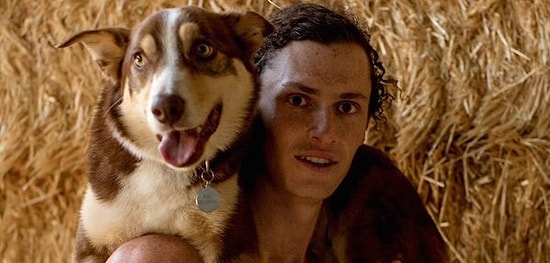 Студенты-ветеринары сфотографировались обнаженными, чтобы помочь бездомным животным