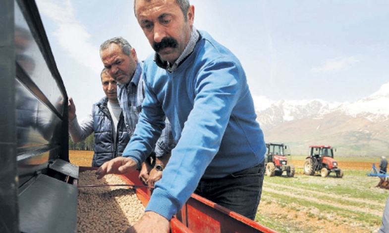 Tonlama Tonik balyasının paleti - modern bir kadının tercihi 18