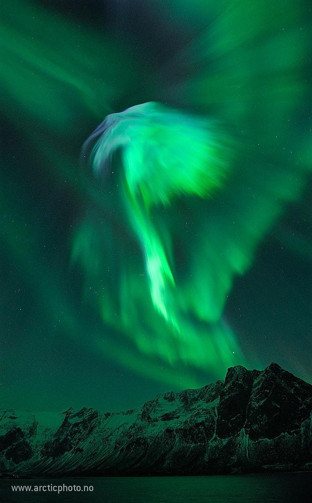 21. Eagle Aurora over Norway