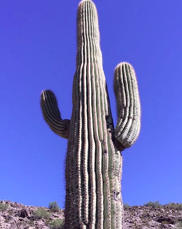 15. Матушка природа никого не щадит)