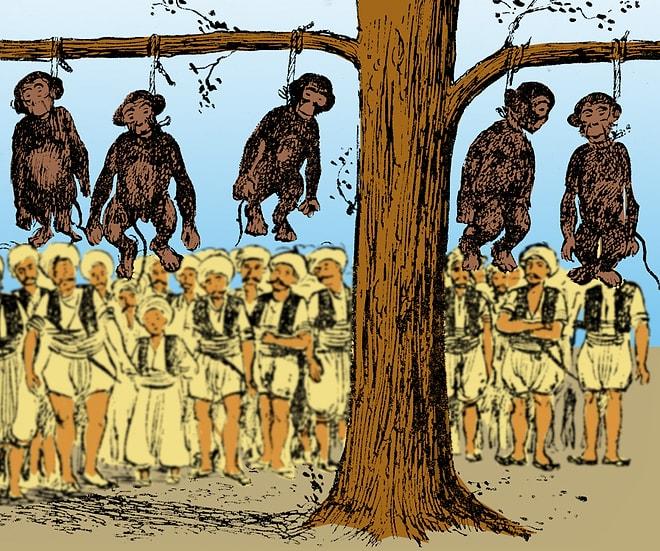 Tarihimizin İçerisinden Garip Bir Anekdot: İdam Edilen Maymunlar