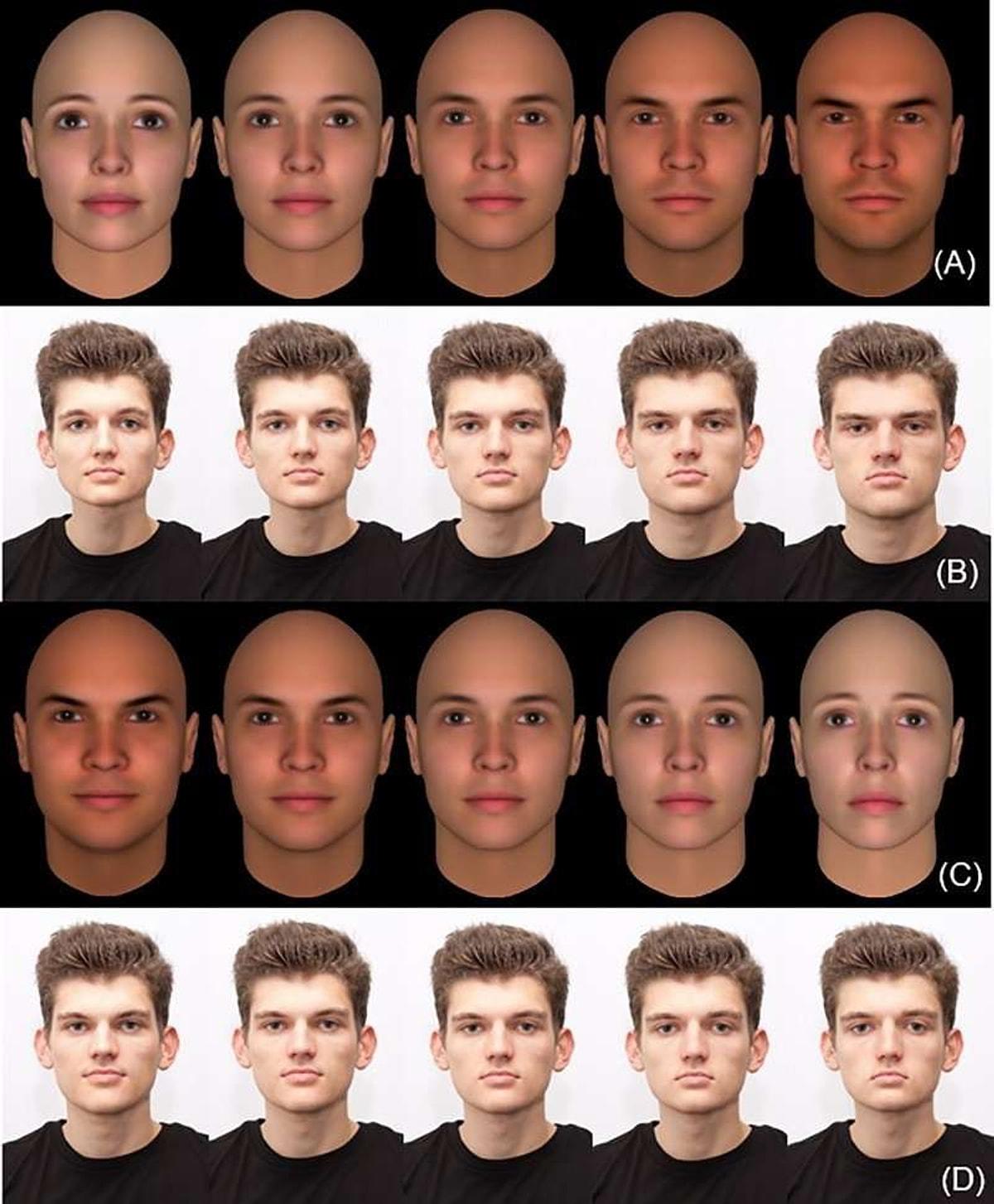 Виды европейцев. Формы лица у мужчин. Среднестатистическая внешность. Типы мужских лиц. Усредненный портрет.