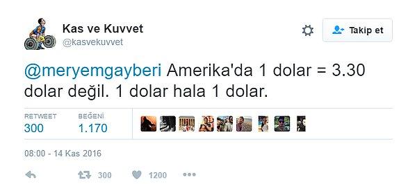 Gayberi'nin bu yorumuna karşılık, değer kaybedenin Dolar olmadığını, Türk Lirası'nın değer kaybettiğini anlatmaya çalışan sosyal medya kullanıcıları oldu.