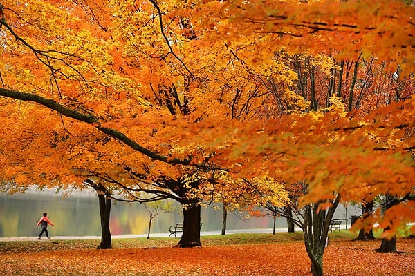 1. Бруклин, Массачусетс, США (John Tlumacki)